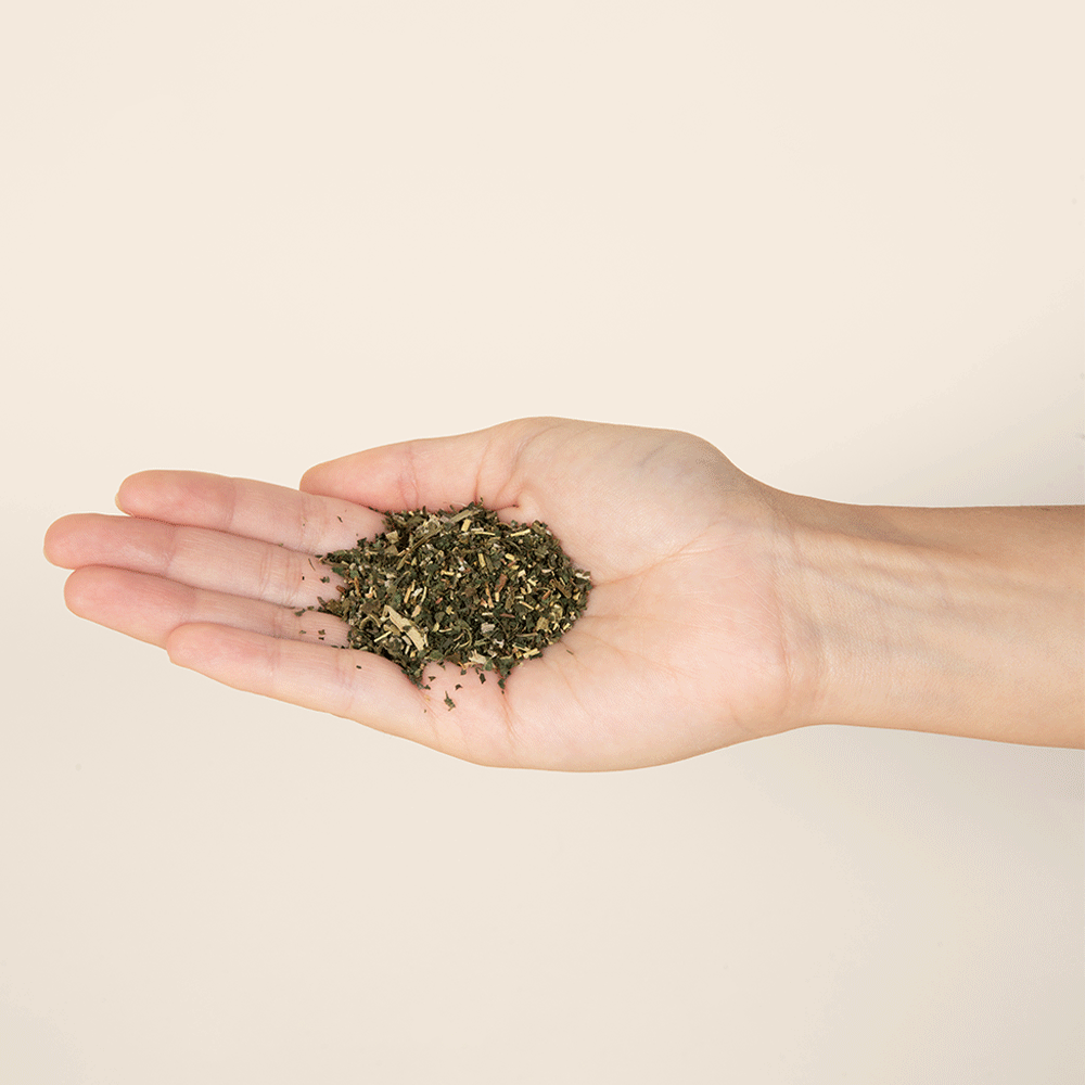 Bounce Curl Botanical Tea for Hair, Skin & Well Being - Cuidado herbario - Curly Nest Spain