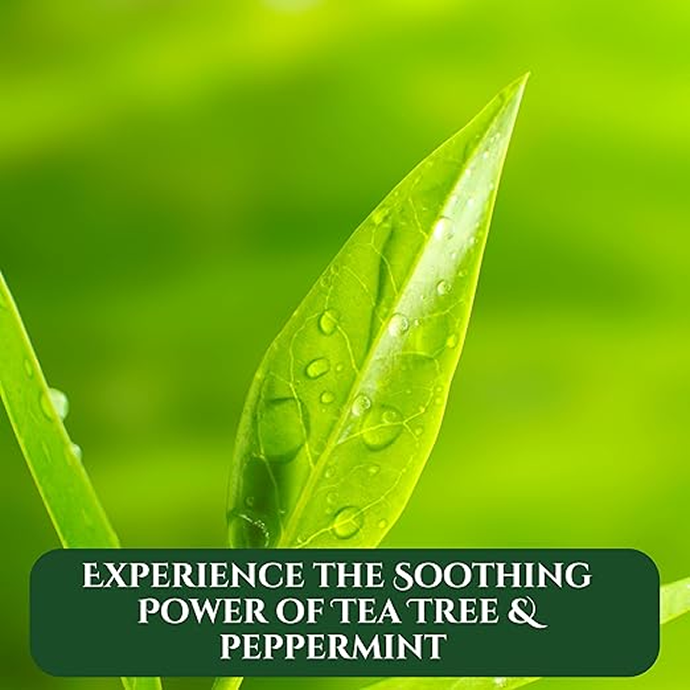 XHC Tea Tree Clarifying Shampoo Final Wash 400ml - Último lavado - Curly Nest Spain
