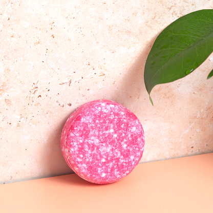 Curly Secret Shampoo Bar - Champú en barra - Curly Nest Spain
