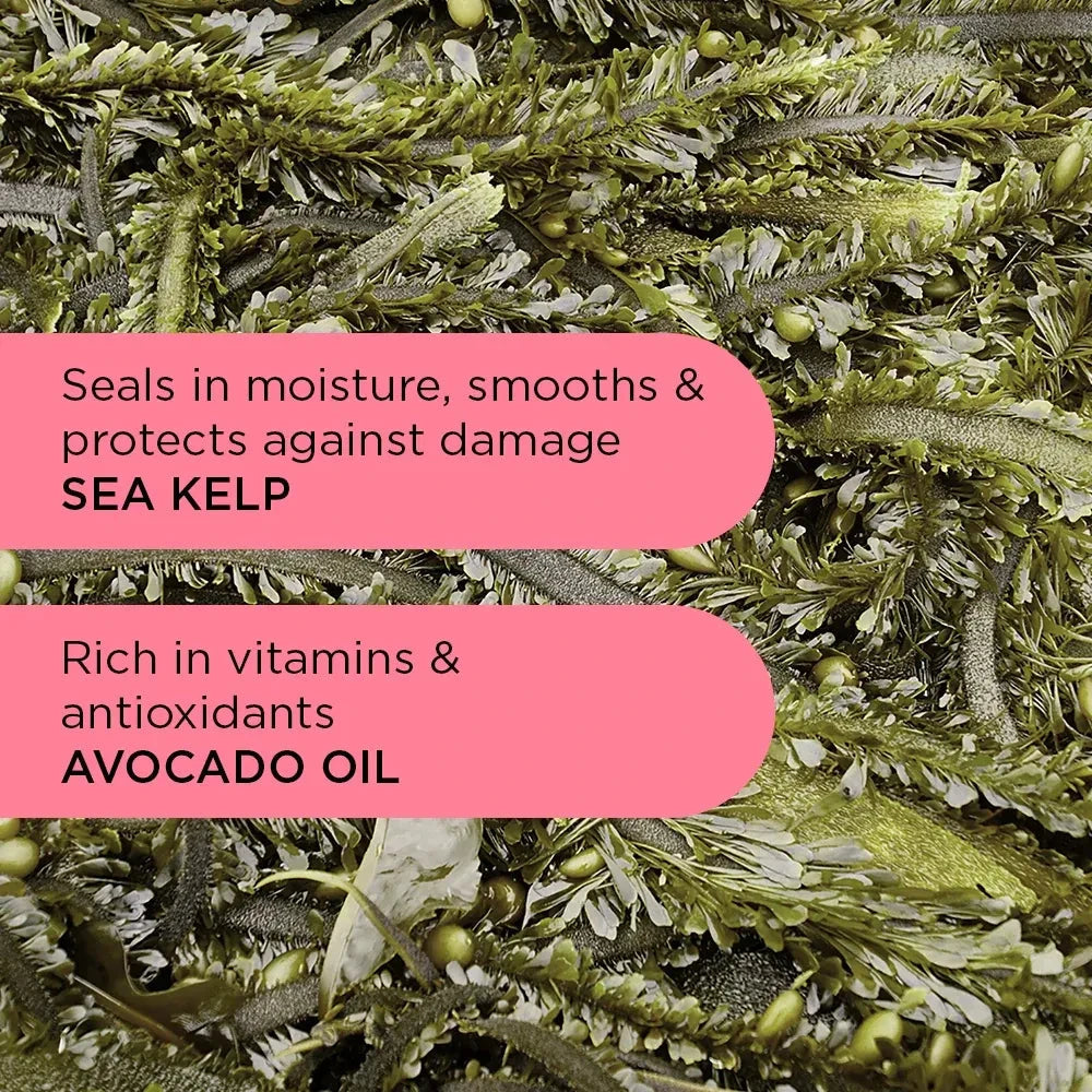 Noughty Wave Hello Shampoo 250ml - Champú suave - Curly Nest Spain