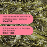 Noughty Wave Hello Hey Curl Jelly 200ml - Styling Gel - Curly Nest Spain