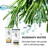 Pretty Curly Girl Protein Rosemary Hydrosol Spray 150ml - Leave-in - Curly Nest Spain